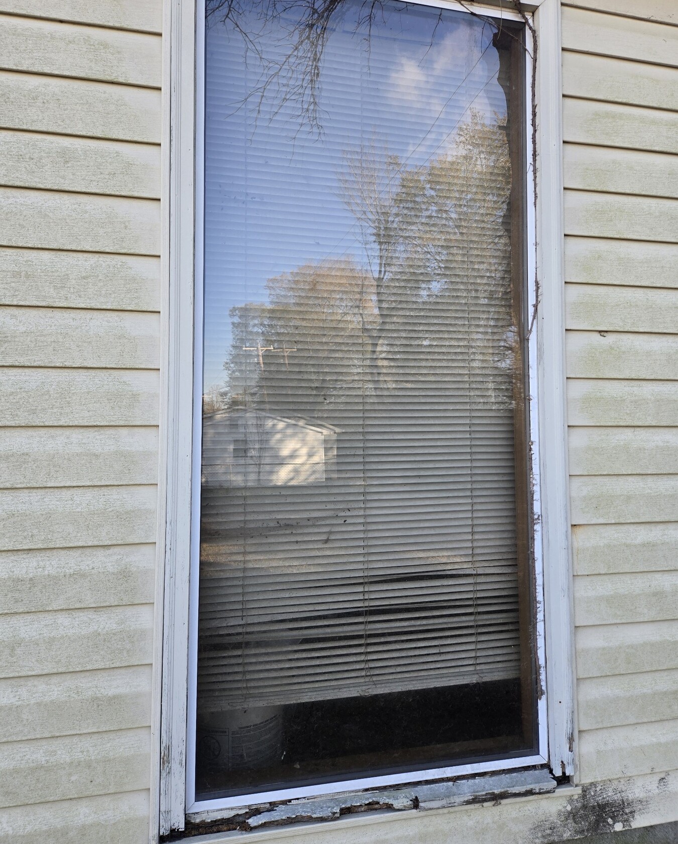 Rotting Wood Repairs & Casing