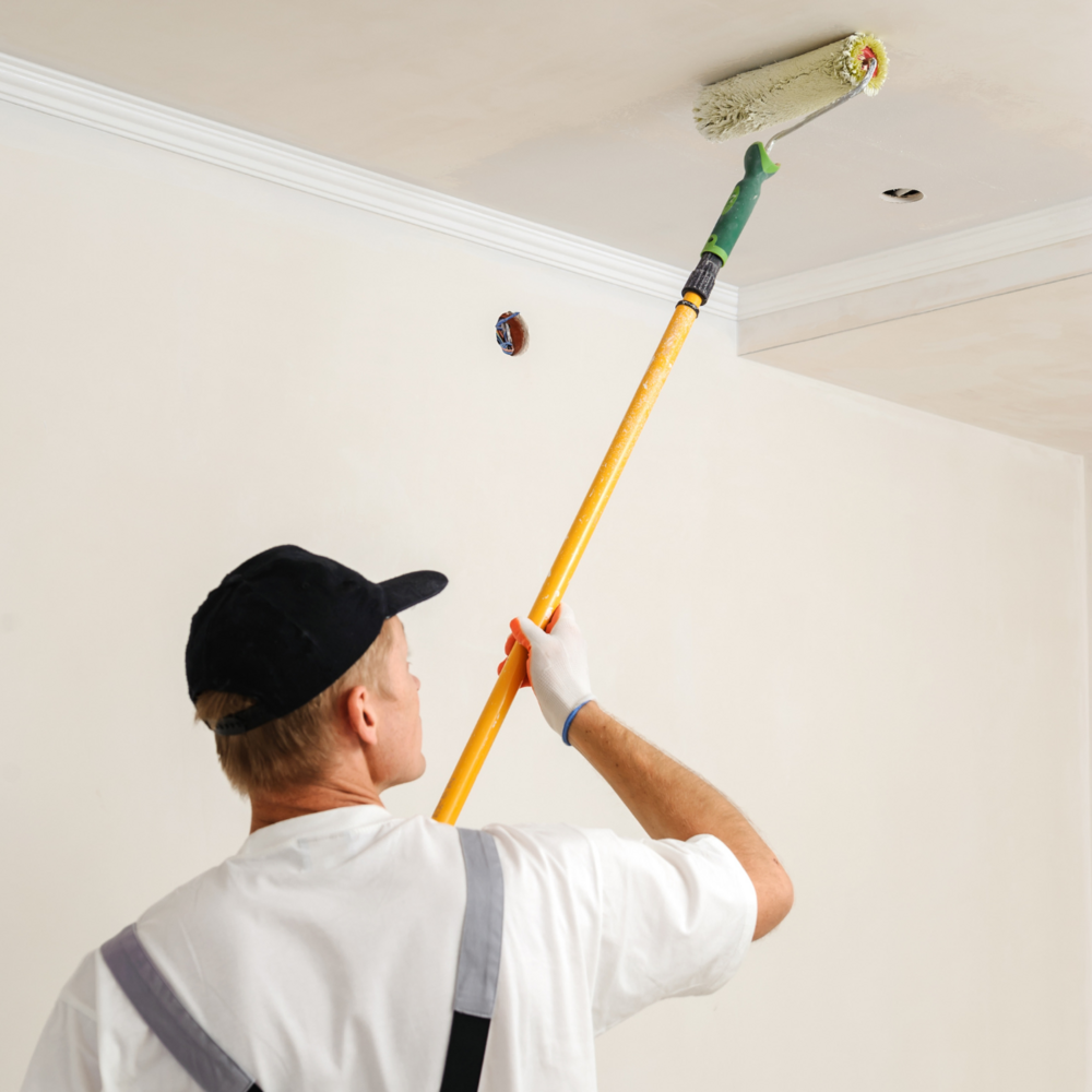 Ceiling Touch-ups