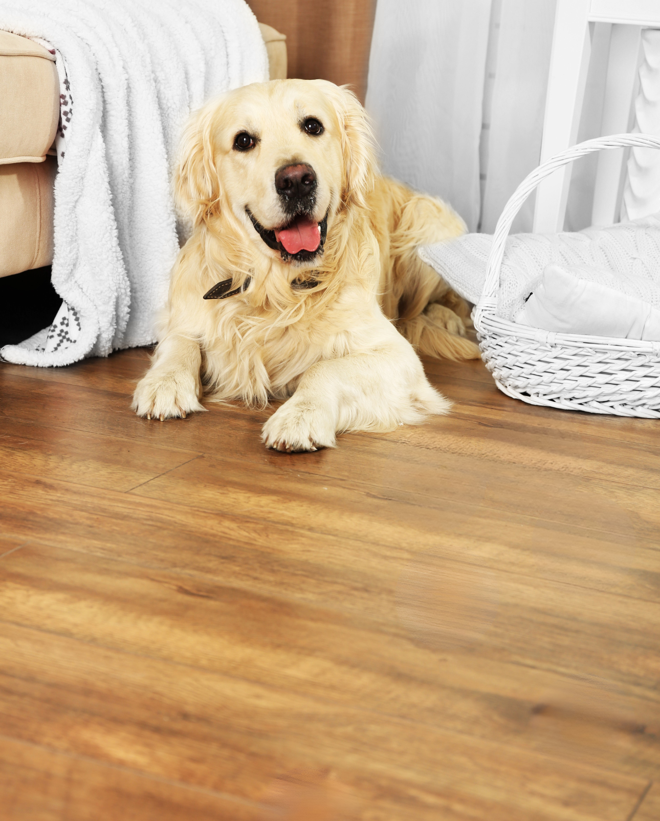 Flooring Installation