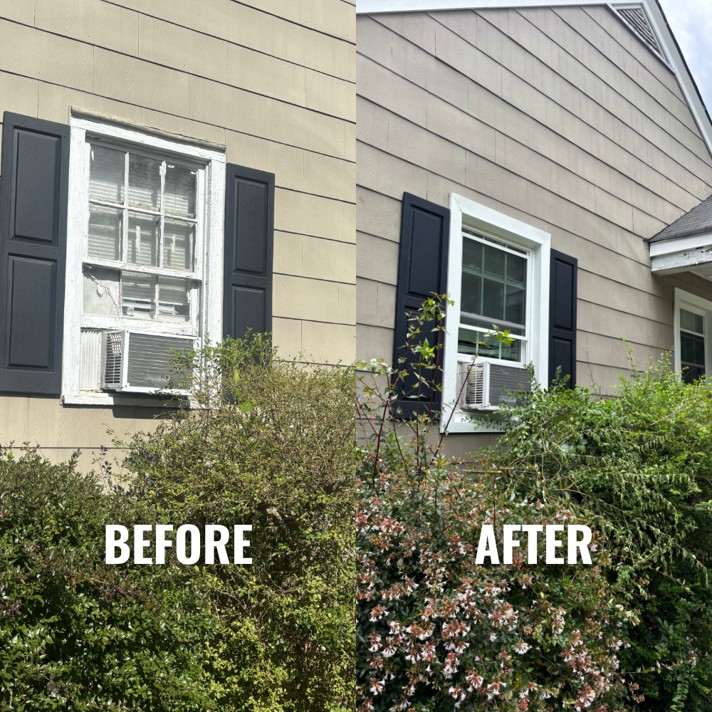 Quick and Reliable Window Replacements